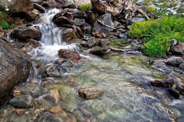 mountain-stream-7847462_640