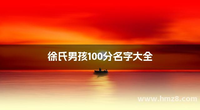 徐氏男孩100分名字大全