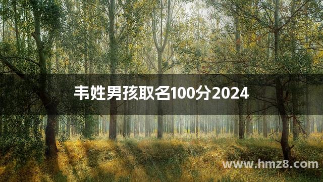 韦姓男孩取名100分2024