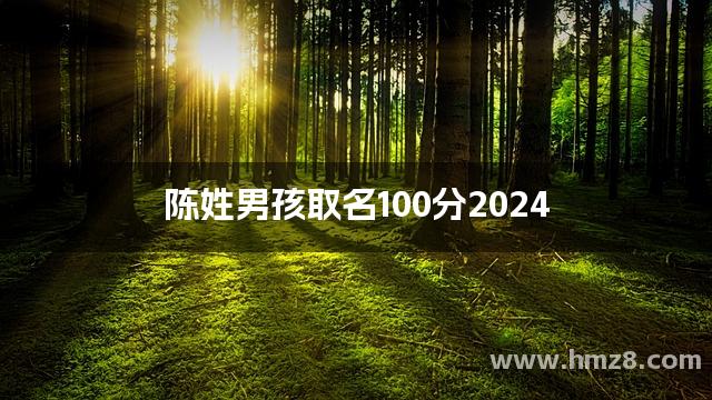 陈姓男孩取名100分2024