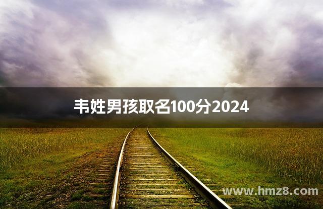 韦姓男孩取名100分2024