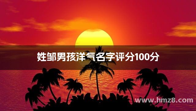 姓邹男孩洋气名字评分100分