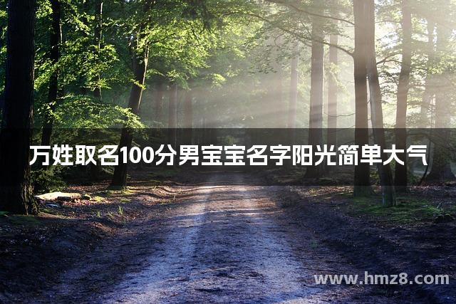 万姓取名100分男宝宝名字阳光简单大气