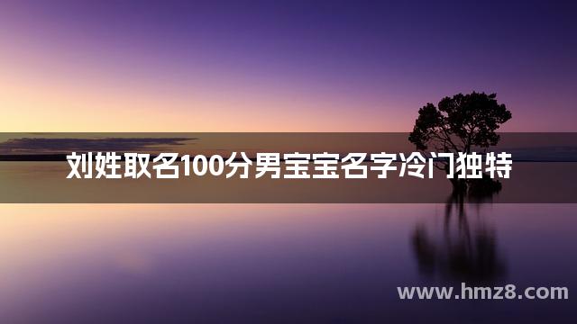 刘姓取名100分男宝宝名字冷门独特