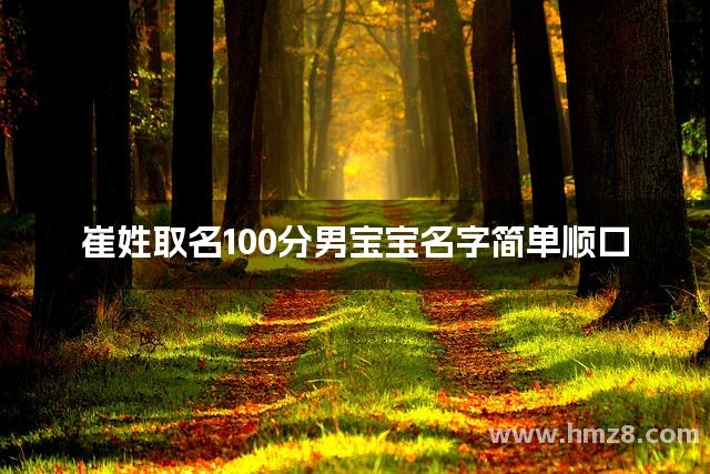 崔姓取名100分男宝宝名字简单顺口