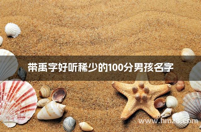 带禹字好听稀少的100分男孩名字