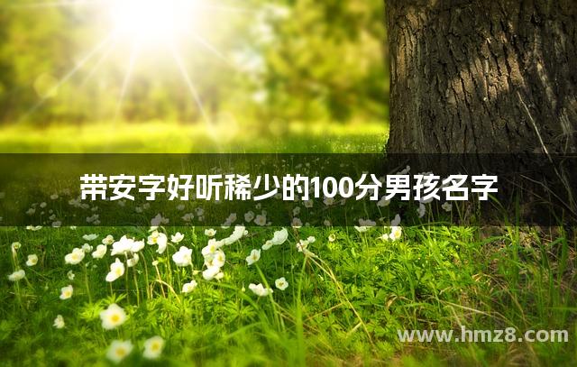 带安字好听稀少的100分男孩名字