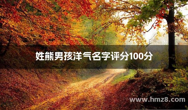 姓熊男孩洋气名字评分100分