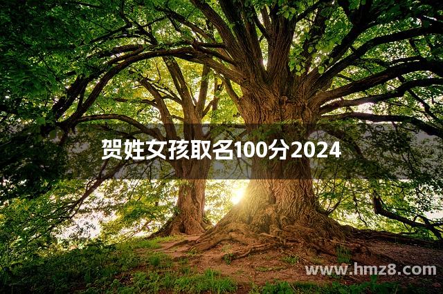 贺姓女孩取名100分2024