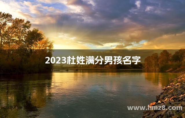 2023杜姓满分男孩名字