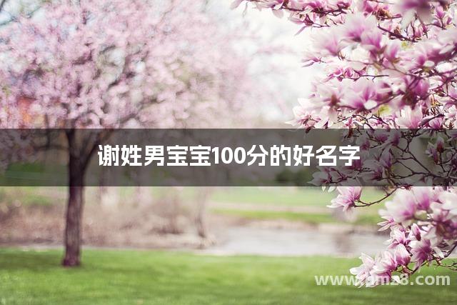 谢姓男宝宝100分的好名字