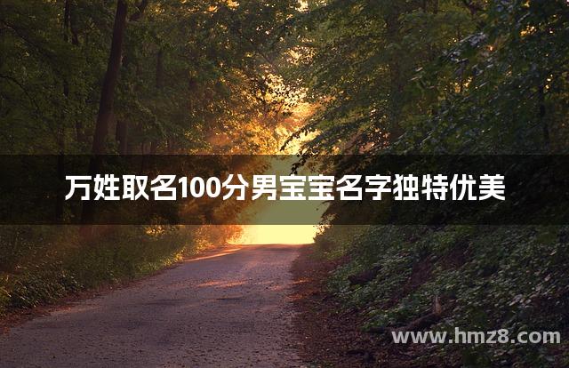 万姓取名100分男宝宝名字独特优美