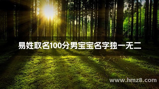 易姓取名100分男宝宝名字独一无二