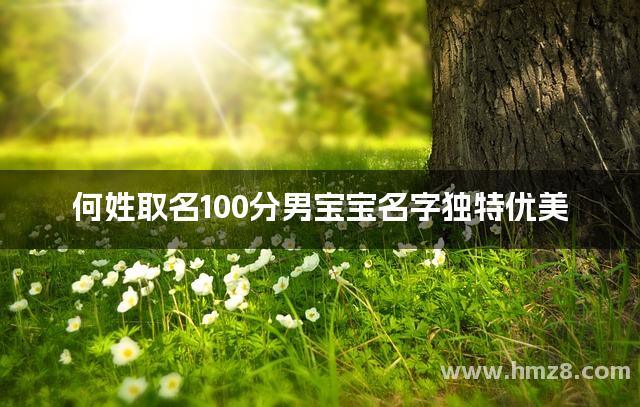 何姓取名100分男宝宝名字独特优美