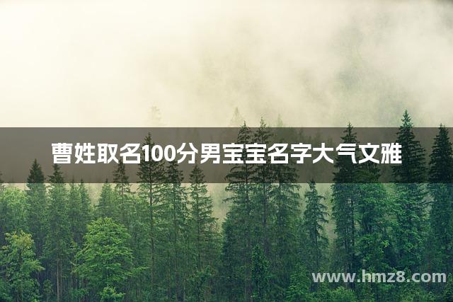 曹姓取名100分男宝宝名字大气文雅