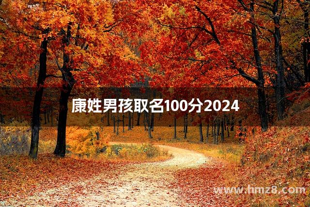 康姓男孩取名100分2024