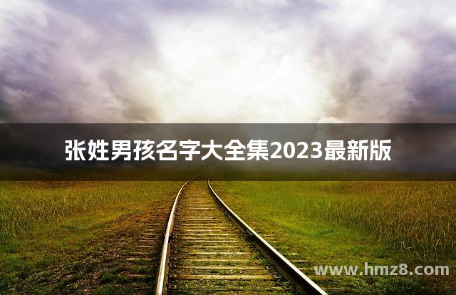 张姓男孩名字大全集2023最新版