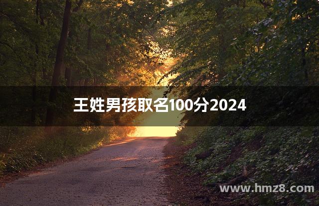 王姓男孩取名100分2024