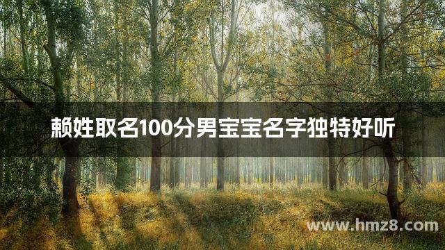 赖姓取名100分男宝宝名字独特好听