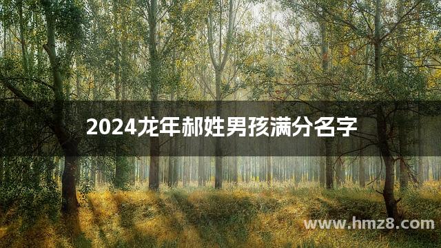 2024龙年郝姓男孩满分名字