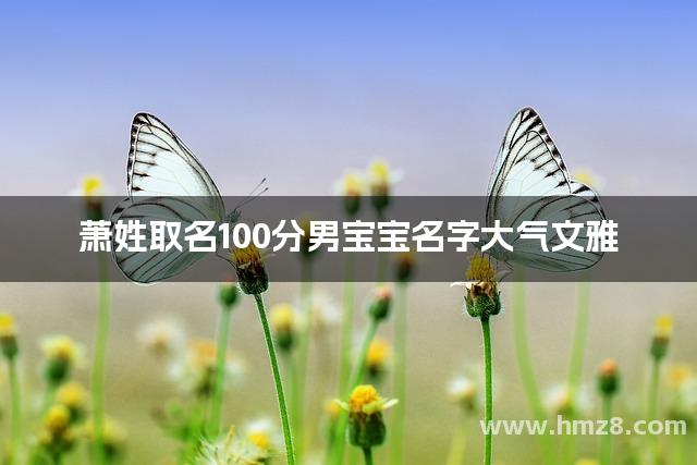 萧姓取名100分男宝宝名字大气文雅