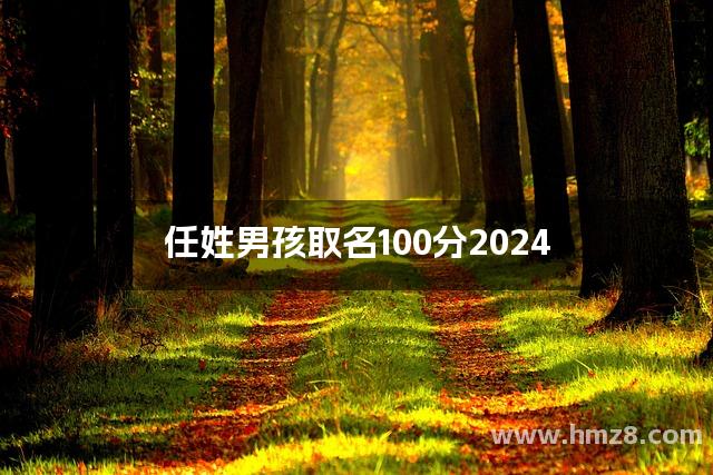 任姓男孩取名100分2024