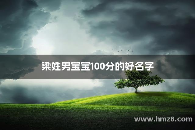 梁姓男宝宝100分的好名字