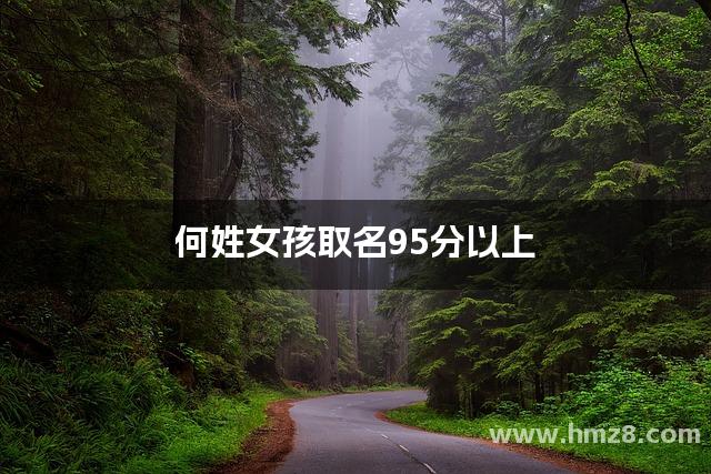 何姓女孩取名95分以上