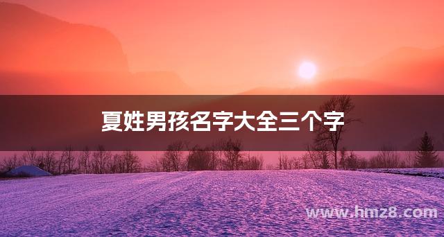 夏姓男孩名字大全三个字