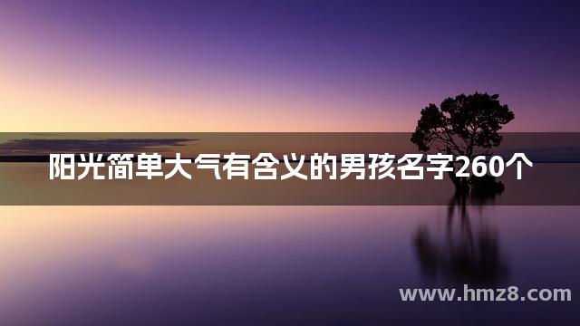 阳光简单大气有含义的男孩名字260个