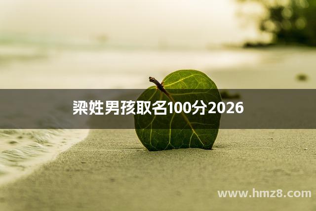 梁姓男孩取名100分2026