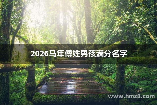 2026马年傅姓男孩满分名字