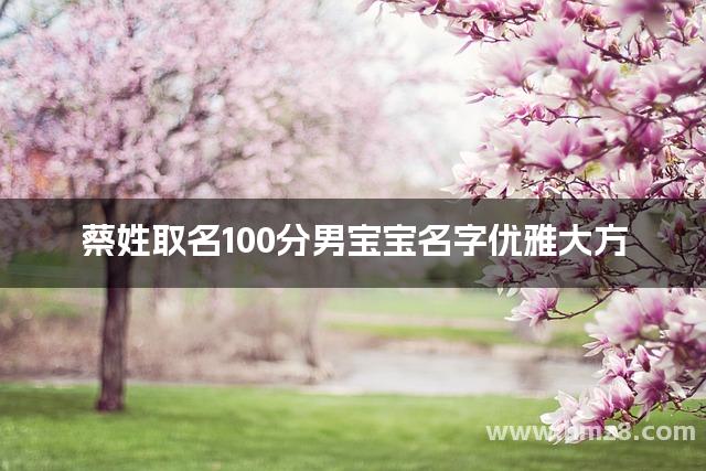 蔡姓取名100分男宝宝名字优雅大方