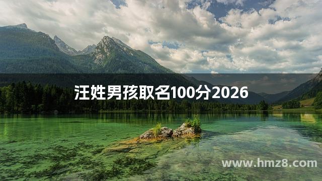 汪姓男孩取名100分2026