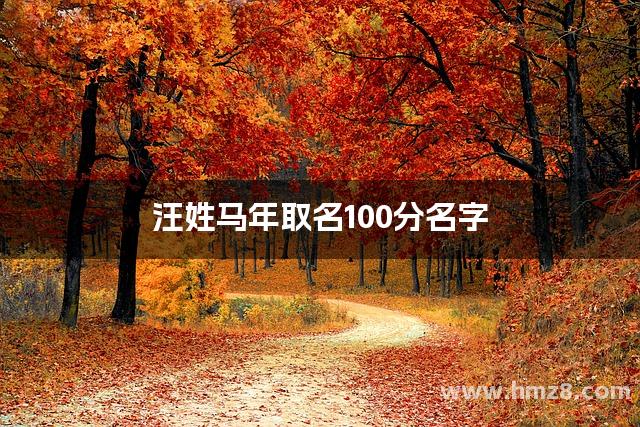 汪姓马年取名100分名字