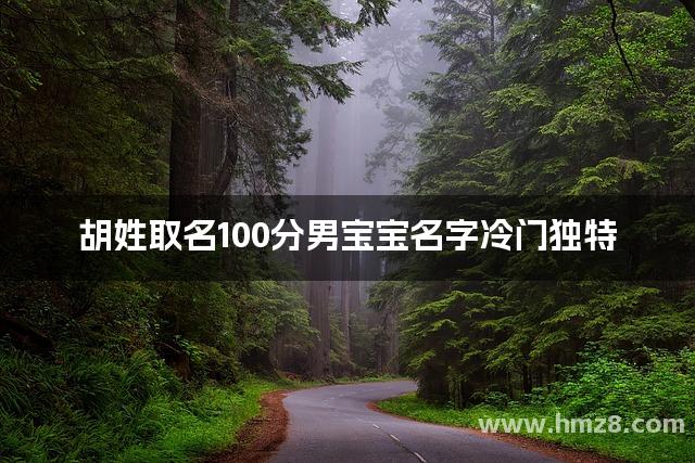 胡姓取名100分男宝宝名字冷门独特