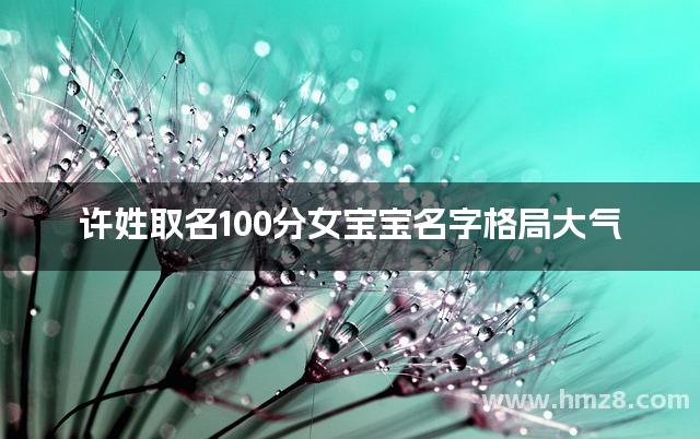 许姓取名100分女宝宝名字格局大气