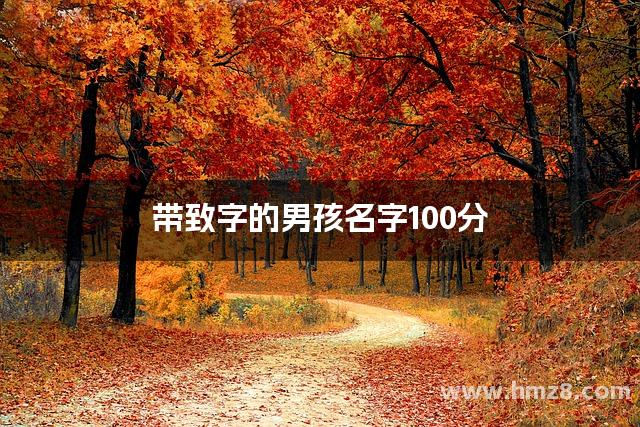 带致字的男孩名字100分