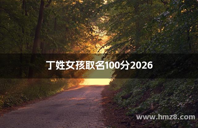 丁姓女孩取名100分2026