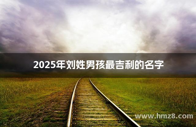 2025年刘姓男孩最吉利的名字