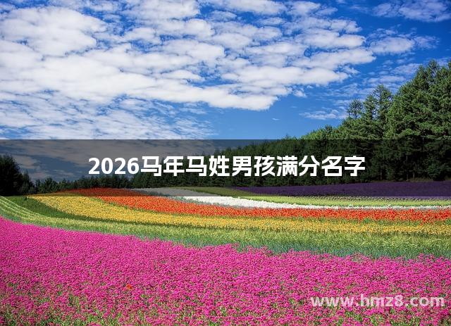 2026马年马姓男孩满分名字