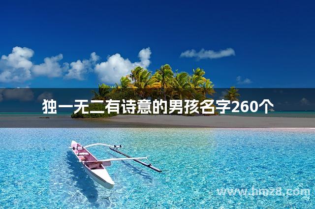 独一无二有诗意的男孩名字260个