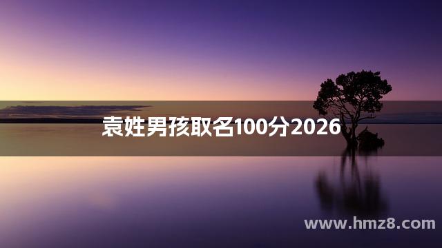 袁姓男孩取名100分2026