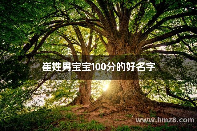 崔姓男宝宝100分的好名字