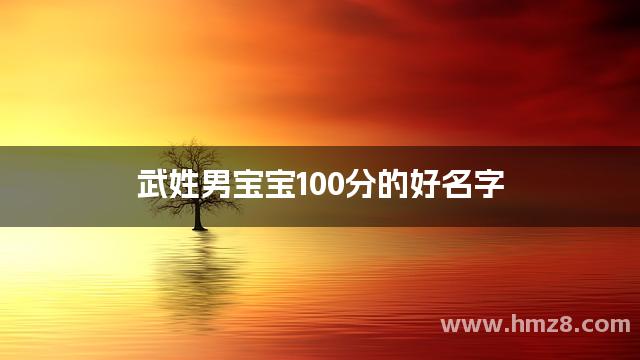 武姓男宝宝100分的好名字