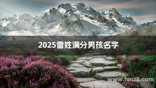 2025雷姓满分男孩名字