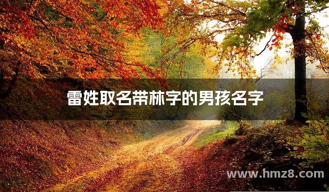 雷姓取名带林字的男孩名字