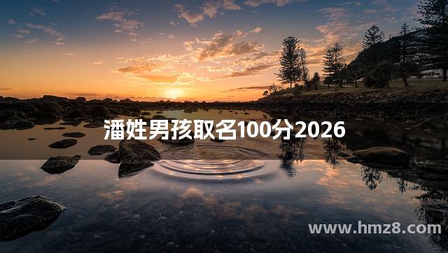 潘姓男孩取名100分2026