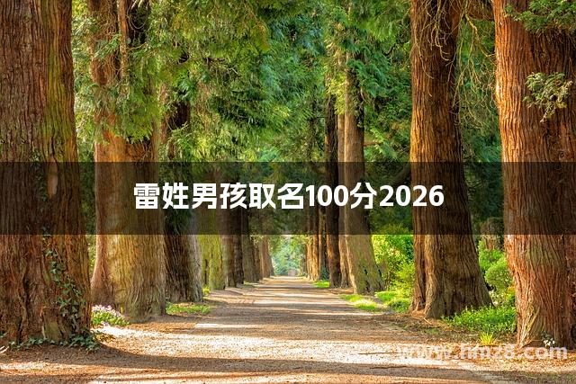 雷姓男孩取名100分2026