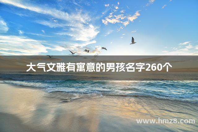 大气文雅有寓意的男孩名字260个